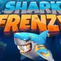 Shark Frenzy