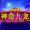 Shen Qi Jiu Long