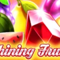 Shining Fruits
