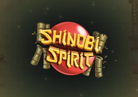 Shinobi Spirit