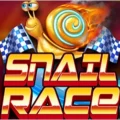 Snail Race