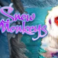 Snow Monkeys
