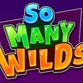 So Many Wilds