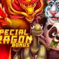 Special Dragon Bonus