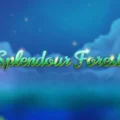 Splendour Forest