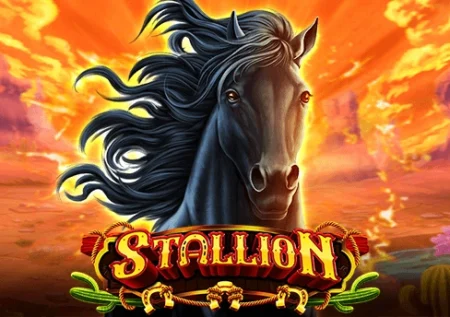 Stallion