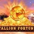 Stallion Fortunes
