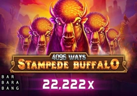 Stampede Buffalo