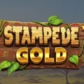 Stampede Gold