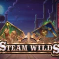 Steam Wilds