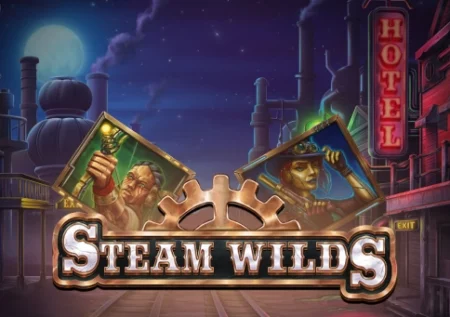 Steam Wilds