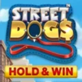 Street Dogs