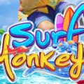 Surf Monkey