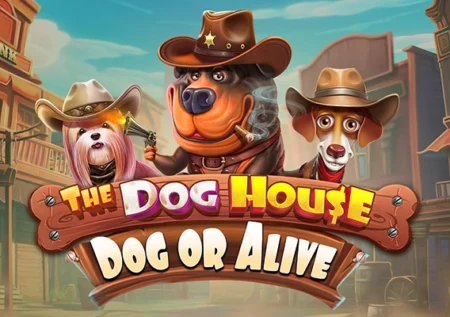 The Dog House – Dog or Alive