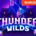 Thunder Wilds