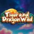 Tiger and Dragon Wild