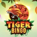 Tiger Bingo