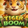 Tiger Boom