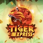 Tiger Express