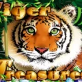 Tiger Treasures