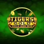 Tiger’s Gold
