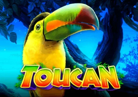 Toucan