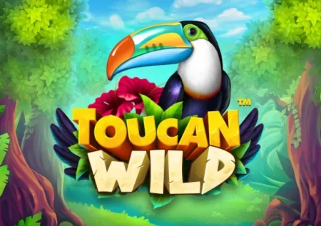 Toucan Wild