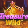 Treasure Wild