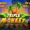 Triple Monkey