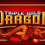 Triple Wild Dragon