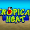 Tropical Heat