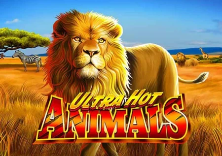 Ultra Hot Animals