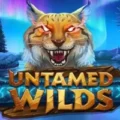 Untamed Wilds