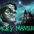 Wacky Mansion