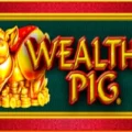 Wealthy Pig