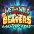 Wet and Wild Beavers
