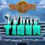 White Tiger
