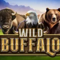 Wild Buffalo