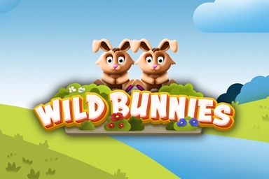 Wild Bunnies