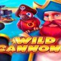Wild Cannon