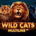 Wild Cats Multiline