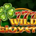 Wild Clover