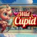 Wild Cupid