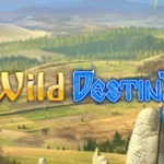 Wild Destiny