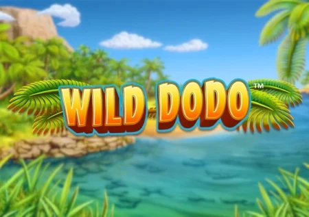 Wild Dodo
