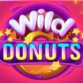 Wild Donuts