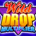 Wild Drop Multiplier