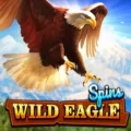 Wild Eagle Spins