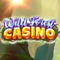 Wild Forest Casino
