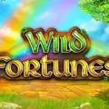 Wild Fortunes